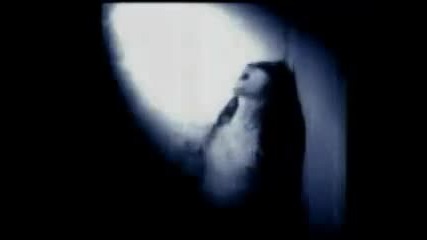 Impetus Malignum - Condemned Soul