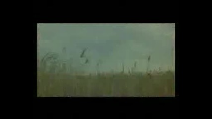 Трейлър на Анимето Bleach The Movie