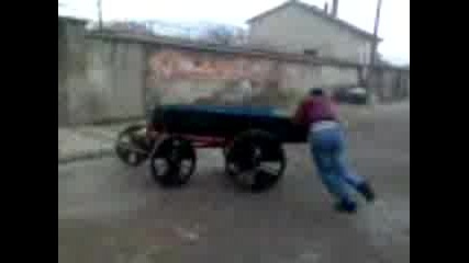 Karuca Edin Pat