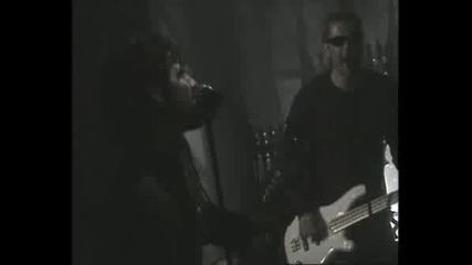 Hide - Bacteria [pv]