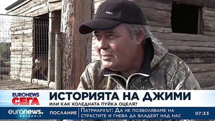 Историята на Джими или как коледната пуйка оцеля