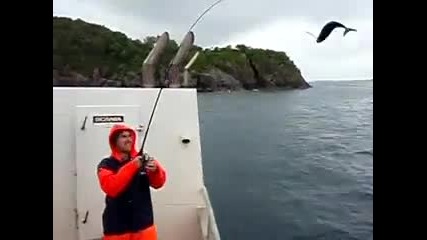 Риболов на скумрия
