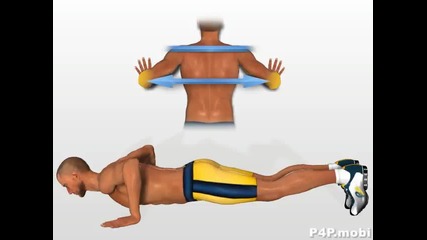 Explosive Push Up - Killer home workouts for pecs - chest 