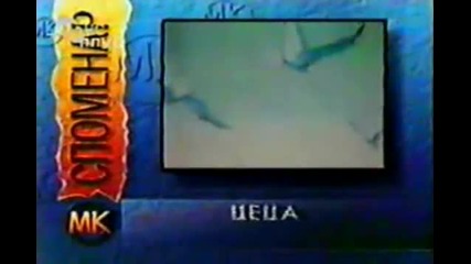 Ceca 1989 - Lepotan