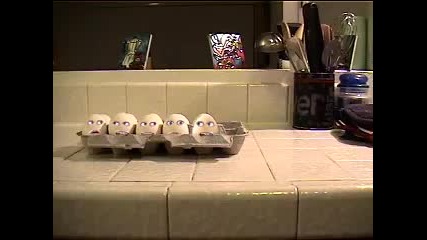 Eggs
