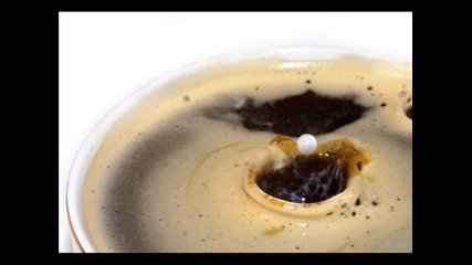 Club Des Belugas - Coffee To Go