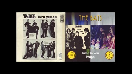The Bats - Goodbye For Now