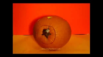Happy Halloween - The Pumpkin