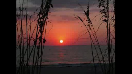Edward Maya feat Alicia - Stereo Love