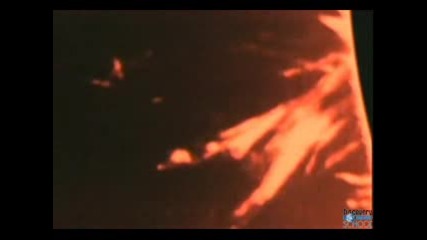 Savage Sun