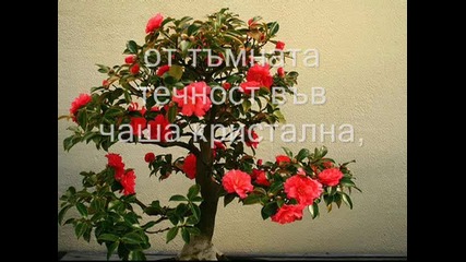 Бъди до мен