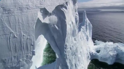 Amazing Images 
