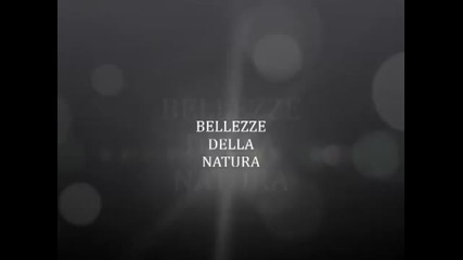 Summertime - Bruno Battisti D'amario - Le Bellezze Naturali