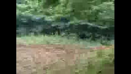 drift v petur4kata gora