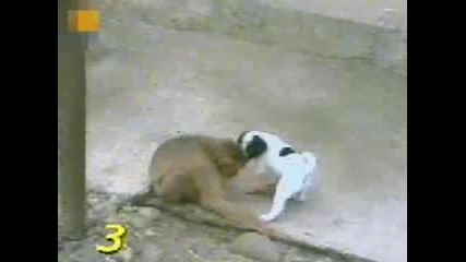 Fun 3
