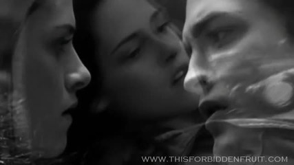 new moon