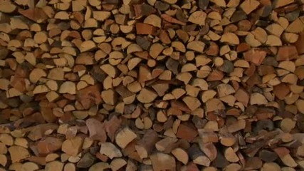Introduction to Wood Stoves