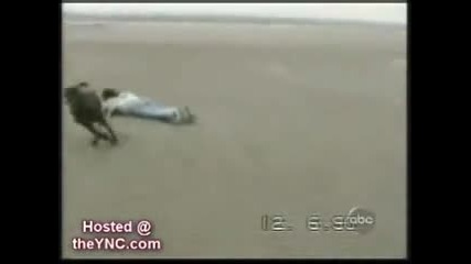 Funny Cats vs. Funny Dogs