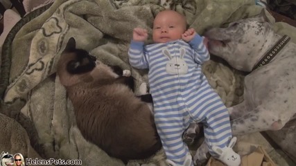 Бебе, Куче и Котка в едно легло ..