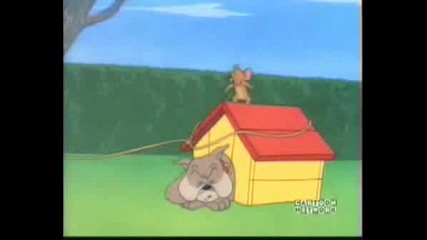 Tom i Jerry
