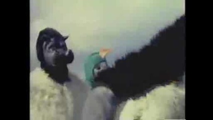 The Beatles - I Am The Walrus