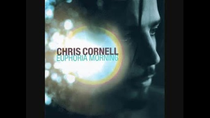 Chris Cornell - Steel Rain 