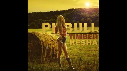 *2014* Pitbull ft. Kesha - Timber ( Acoustic version )