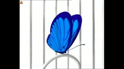Кати - Пеперуда / Butterfly