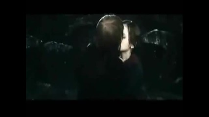 Ron and Hermione kiss Harry Potter and the Deathly Hallows part 2 (kiss)