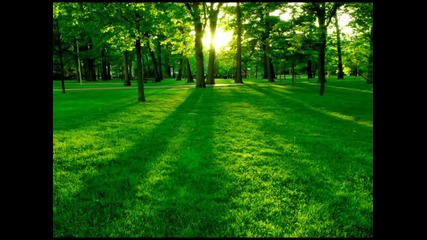 Elvis Presley - Green Green Grass of Home