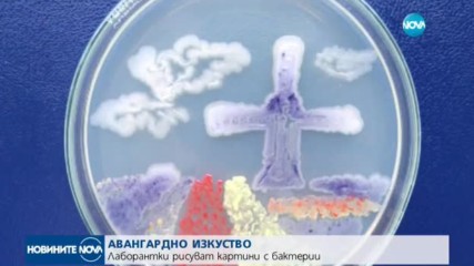 АВАНГАРДНО ИЗКУСТВО: Лаборантки рисуват картини с бактерии