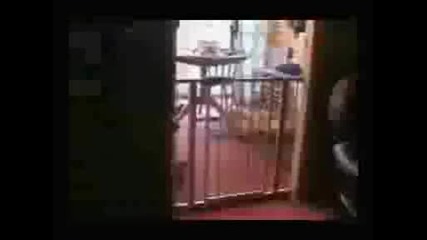 Смешни Инциденти - Клипове