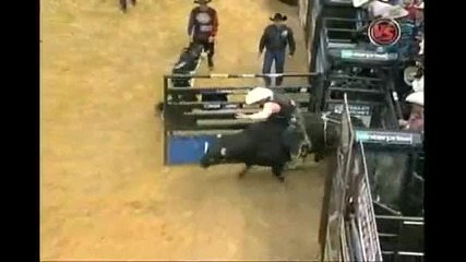 Brendon Clark Vs. Buckwheat 