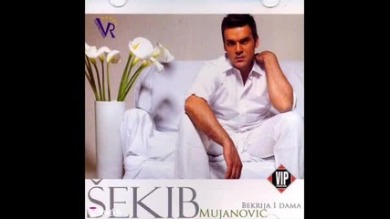 Sekib Mujanovic 2010 - Zgazi me.wmv