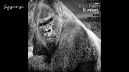 Silver Ivanov - Funky Snake ( Original Mix )
