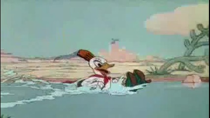  Donald Duck 