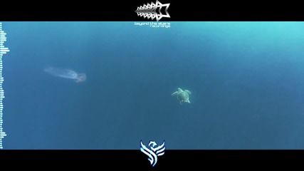 T R A N C E - E.t Project - The Ocean ( Original Mix )