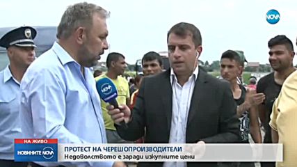 Производители на череши излязоха на протест на АМ "Тракия"