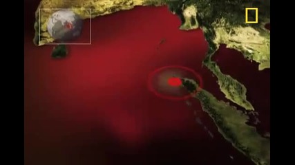 Tsunami 101