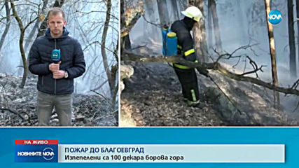 Пламна борова гора над Благоевград
