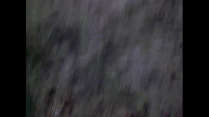 Profitata na Novi Iskar sipeite.7 