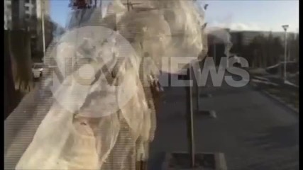 Силният вятър събори ограда в София