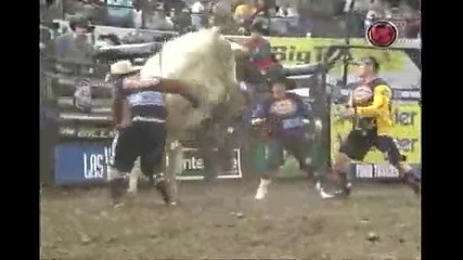 Zack Brown Vs Tighty Whitey 