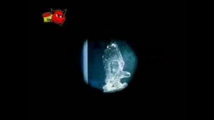 System Of Life - Luv Is Cool 