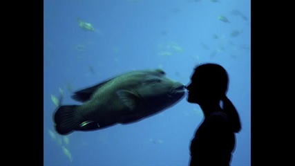 Kanye west - gay fish fun 