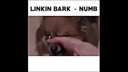 Животни изпълняват песен на Linkin Park!