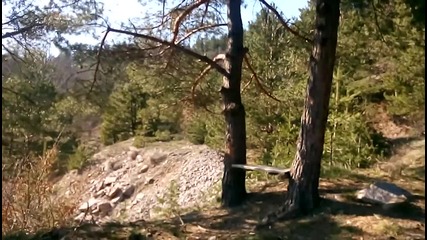 Почти на Витоша ;) Заслон Каменоделец