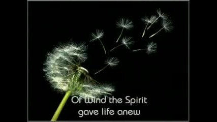 Creation 