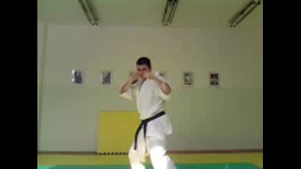 Berseks karate technics 