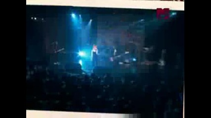 Paramore - Hallelujah [music video]